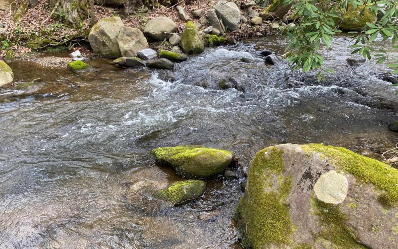 Willa Shady Creek Gatlinburg Zewnętrze zdjęcie
